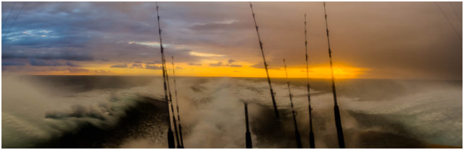 Luxury Yachts Playa del Carmen, Riviera Maya Yacht Charters, Playa del Carmen Luxury Yacht Charter, Yacht charters Playa del Carmen, Hire a boat in playa Mexico,